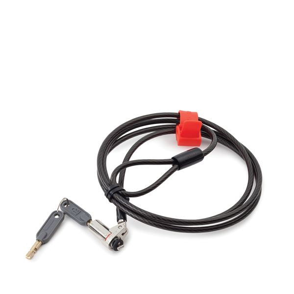 Anti-Theft Device - Laboratory Balance