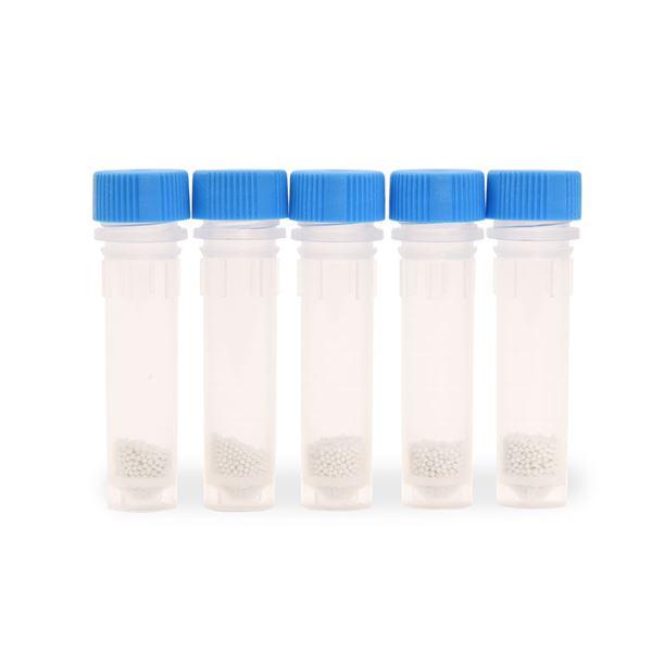 Lysing Bead Tubes