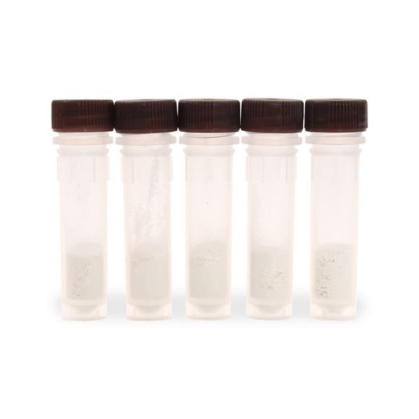 Lysing Bead Tubes