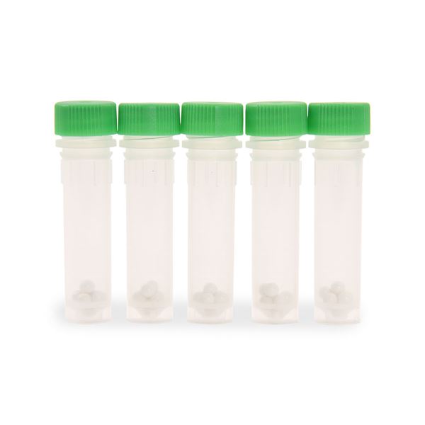Lysing Bead Tubes