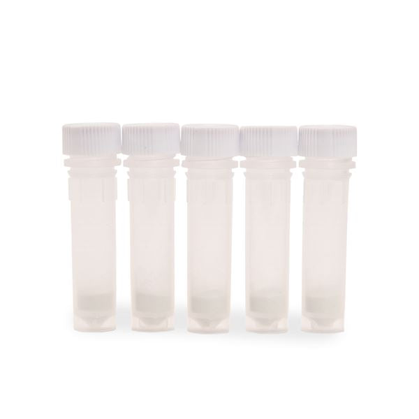 Lysing Bead Tubes