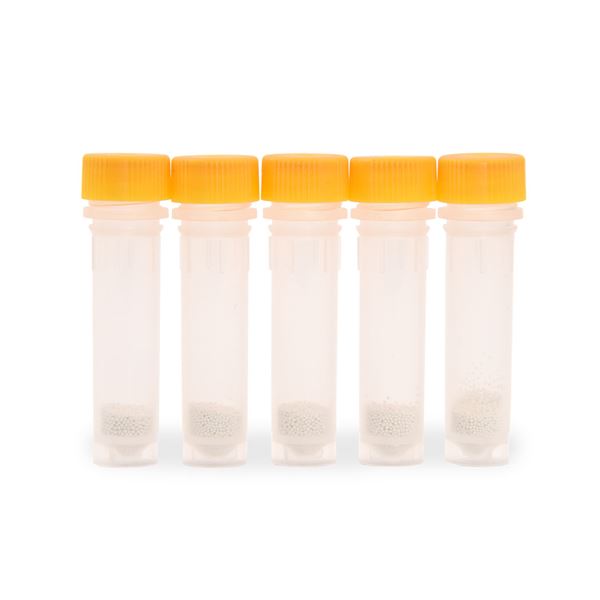 Lysing Bead Tubes
